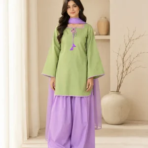 3 Pcs Women’s Stitched Cotton Plain Suit